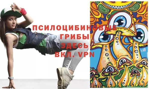 марки lsd Дмитриев