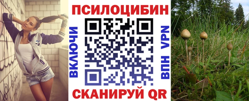 Галлюциногенные грибы Psilocybe Купить где Ковдор